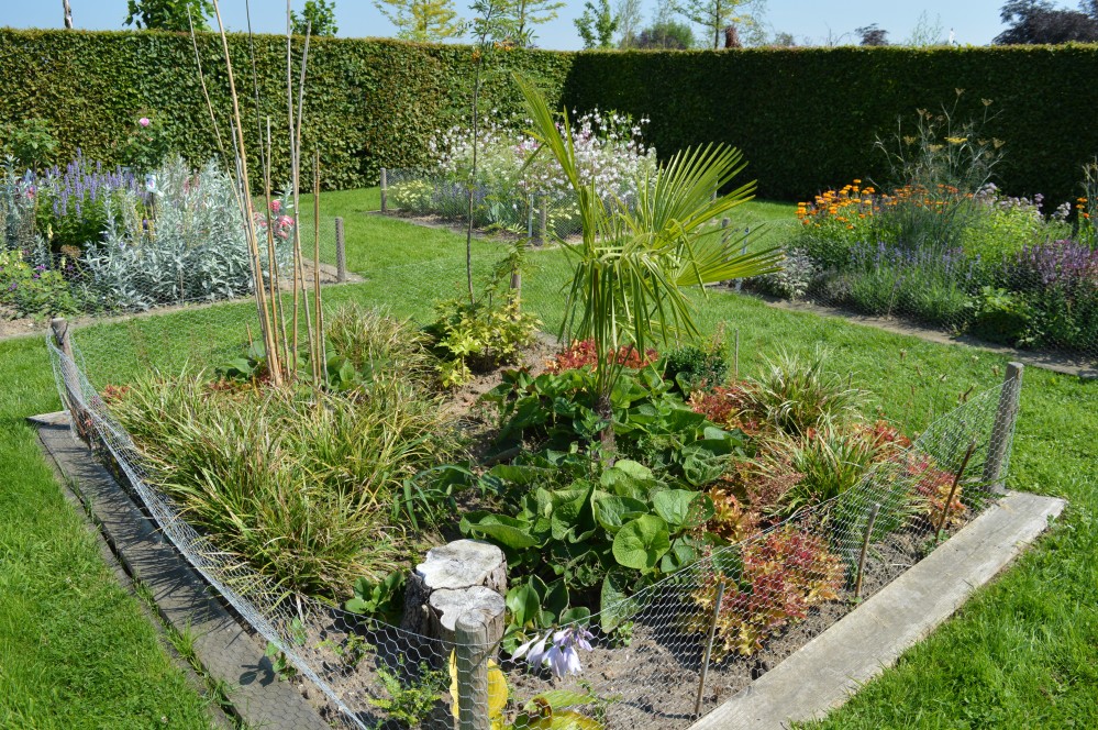 Bladplanten border