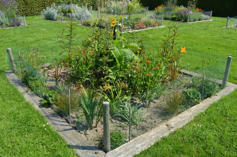 Vuur border