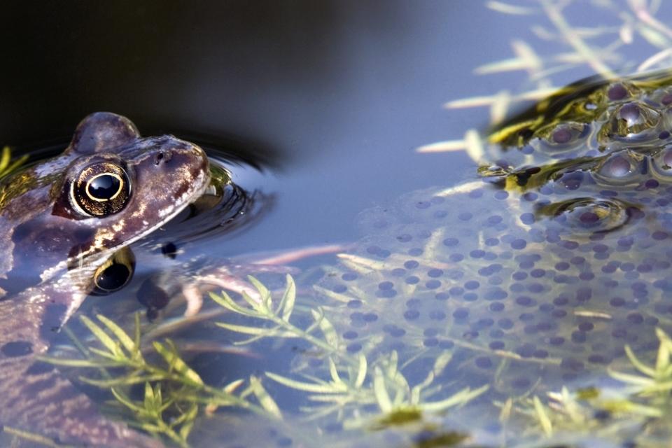Waterwerken