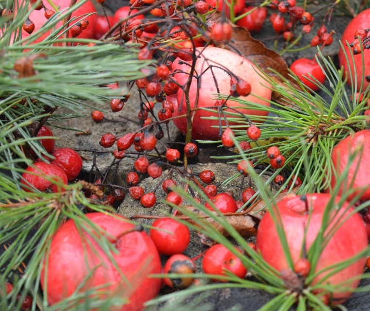 Decoratief en wintergroen