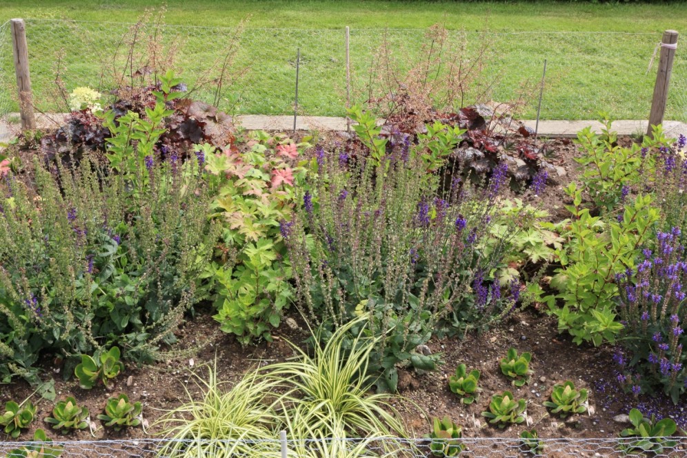 Onderhoudsvriendelijke border