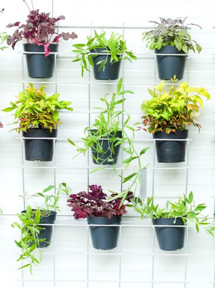 B-E-N-D plantenrek 81 x 122 cm (onbewerkt)