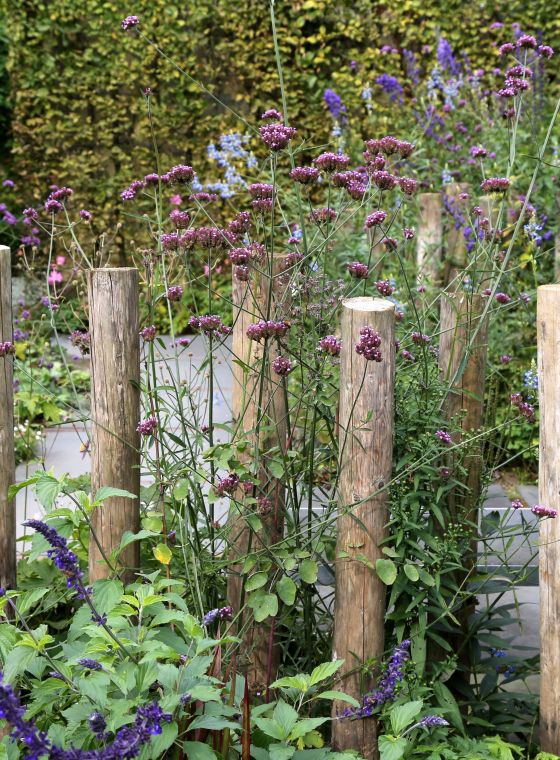 60 tips voor een onderhoudsvriendelijke tuin