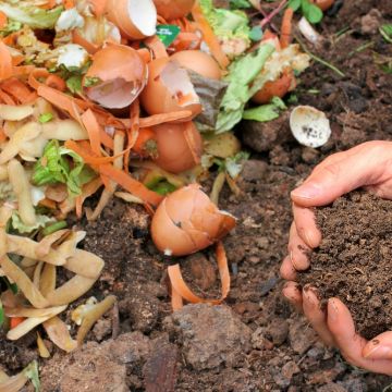 Zelf compost maken? Zo doe je dat!