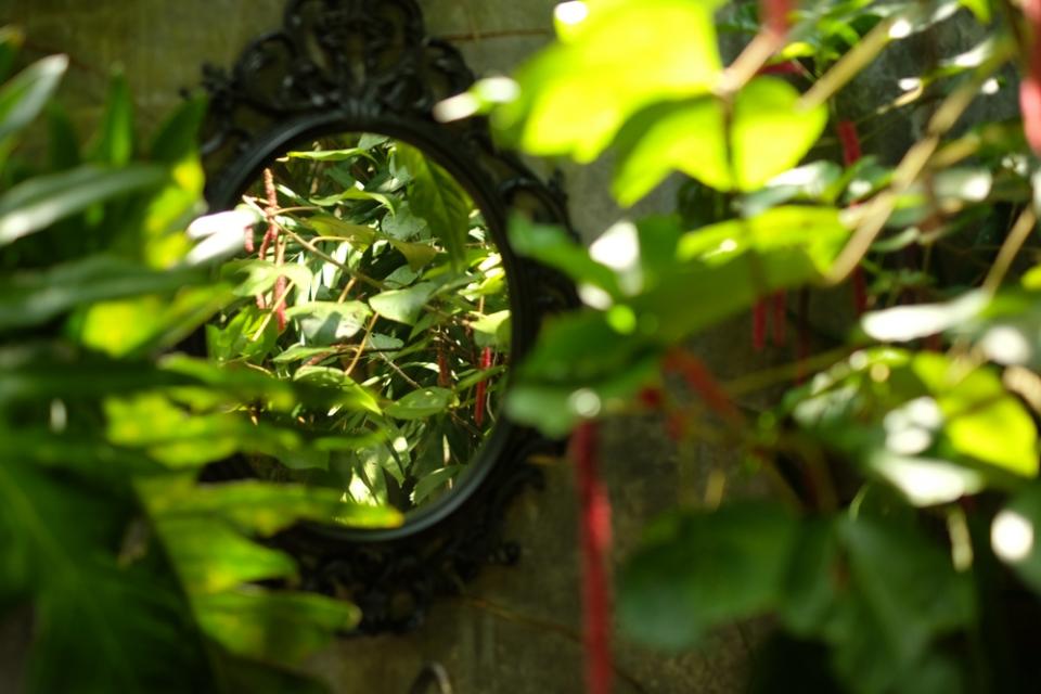 De moeilijkste tuin