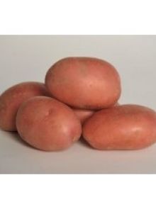 Tiamo 1 kg (vastkokende aardappel)