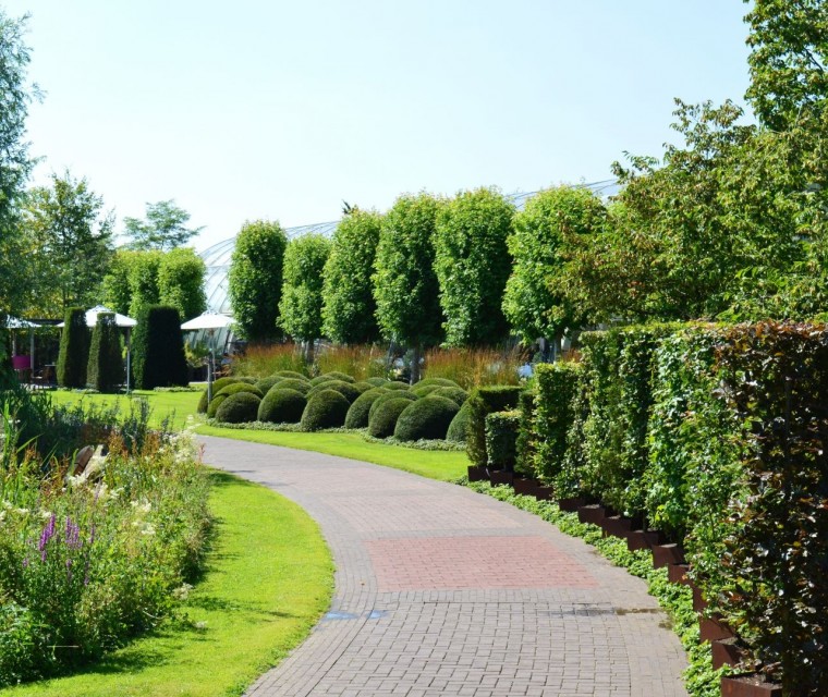 Hagenkabinet