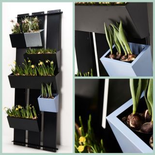 Plantenwand GRO Wall compleet + 1x wandbak GRO25