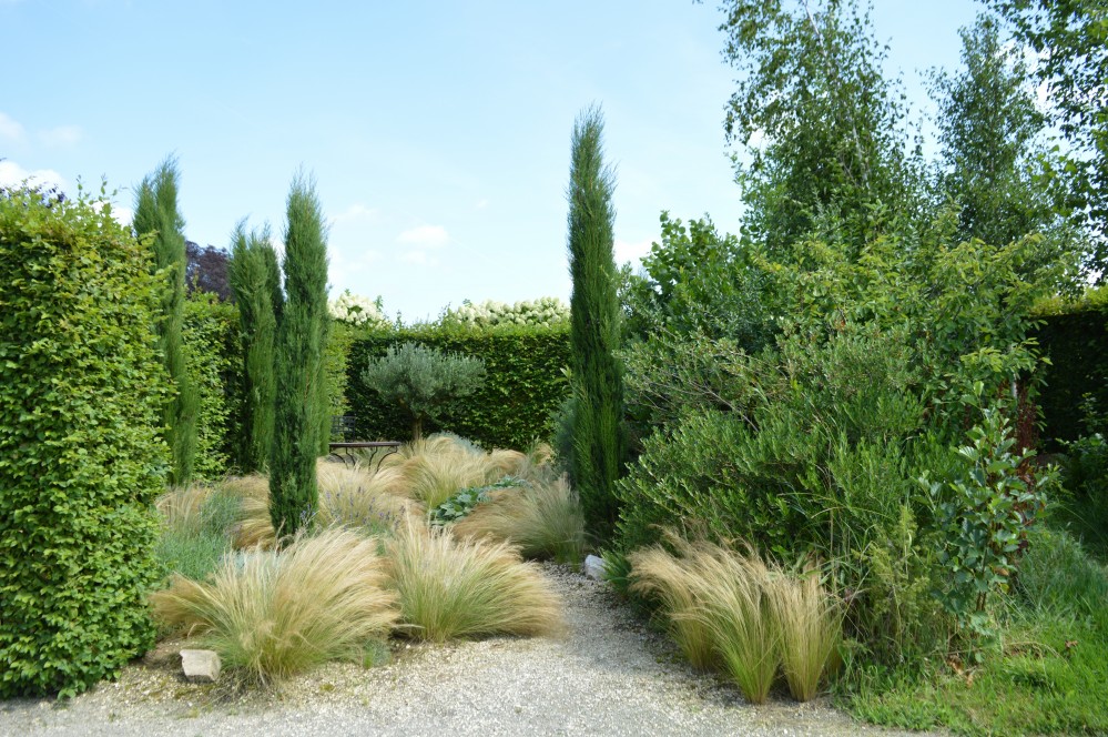 Planten zetten de toon