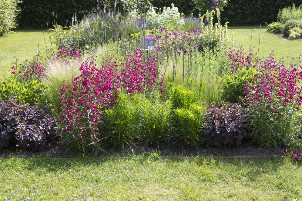Bonte zomerborder