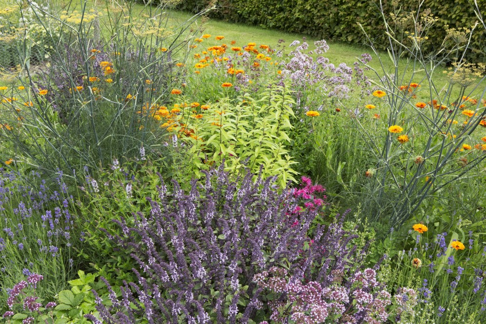 Theeplanten border