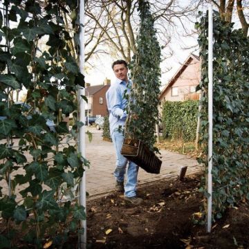 alles wat je moet weten over wateropvang in jouw tuin de tuinen van appeltern