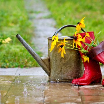 Alles wat je moet weten over wateropvang in jouw tuin!
