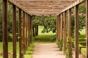 De houten pergola