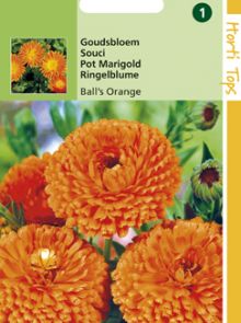 Calendula officinalis Ball's Orange (zaad Goudsbloem, dubbelbloemig)