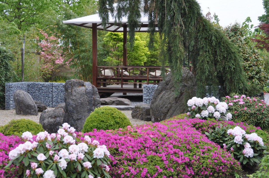 japanse tuin planten kopen oosterse tuin de tuinen van appeltern japanse tuin planten kopen oosterse tuin de tuinen van appeltern