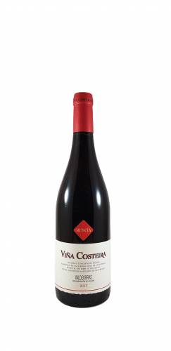 Viña Costeira Mencia