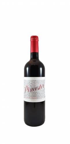 Prieto Pariente Pinaster Tempranillo