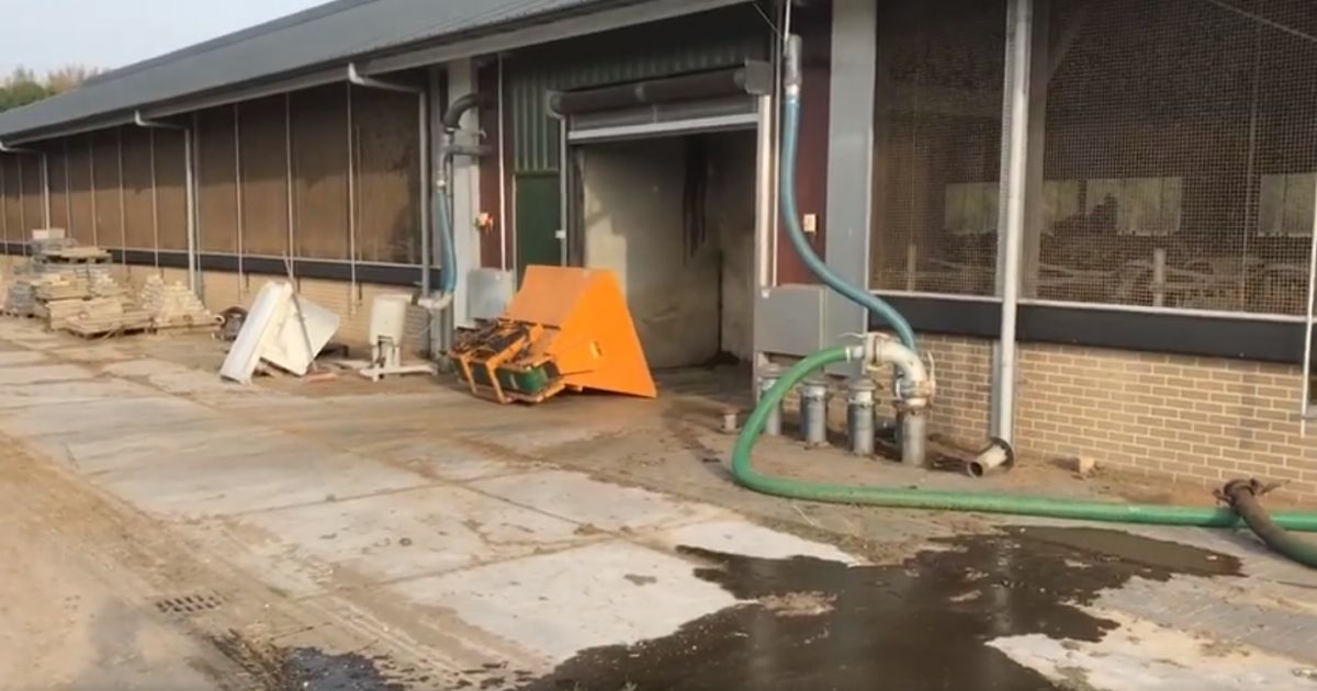 Dry manure bedding automatic making & filling CowSignals®