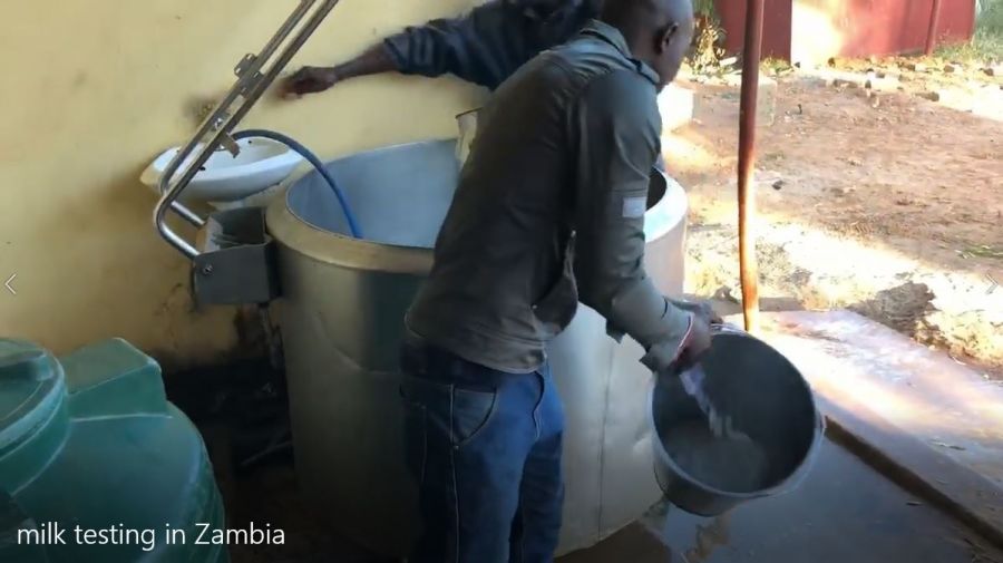Milk quality testing in Zambia