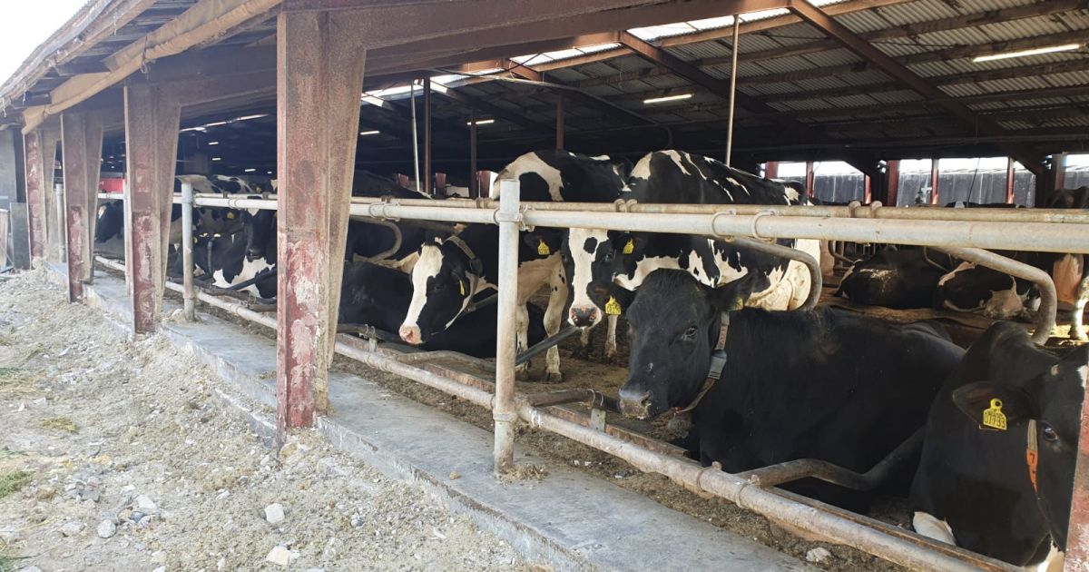 Five reasons to take down that wall CowSignals®