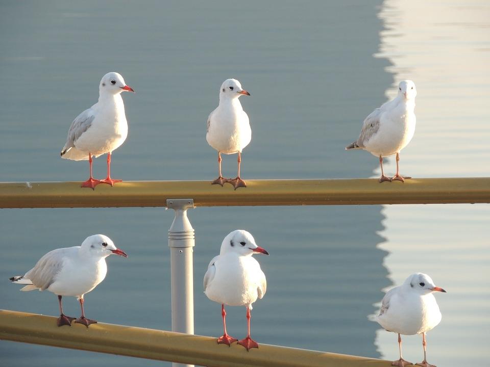 Zeggenschap als randvoorwaarde voor slagen zelfsturende organisatie