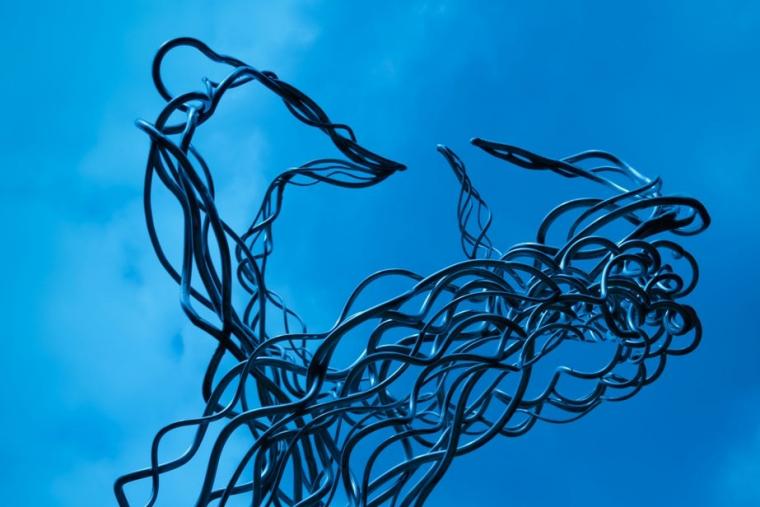 Startups & Downs; een persoonlijk verhaal over een innovatieavontuur, en over hoe om te gaan met tegenslag