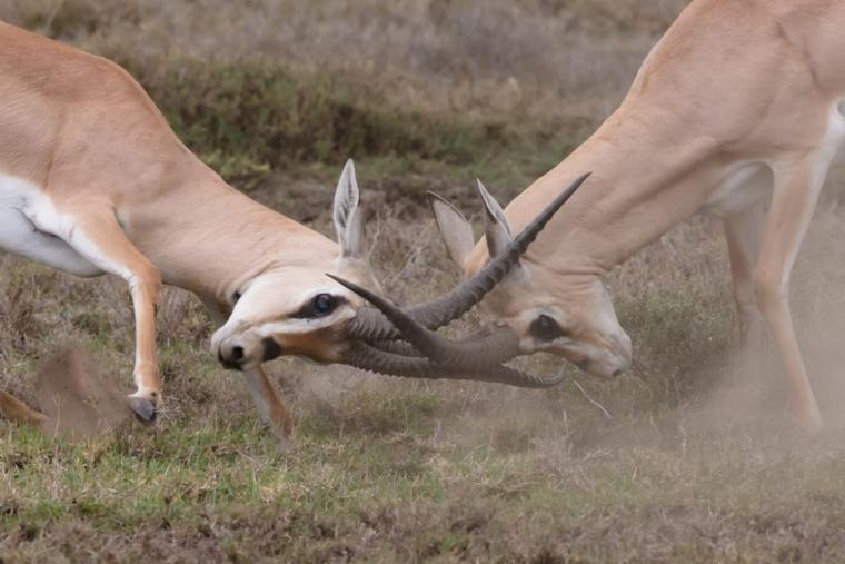 Conflicten op de werkvloer