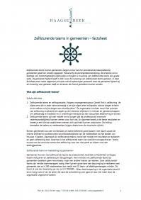 Zelfsturende teams in gemeenten