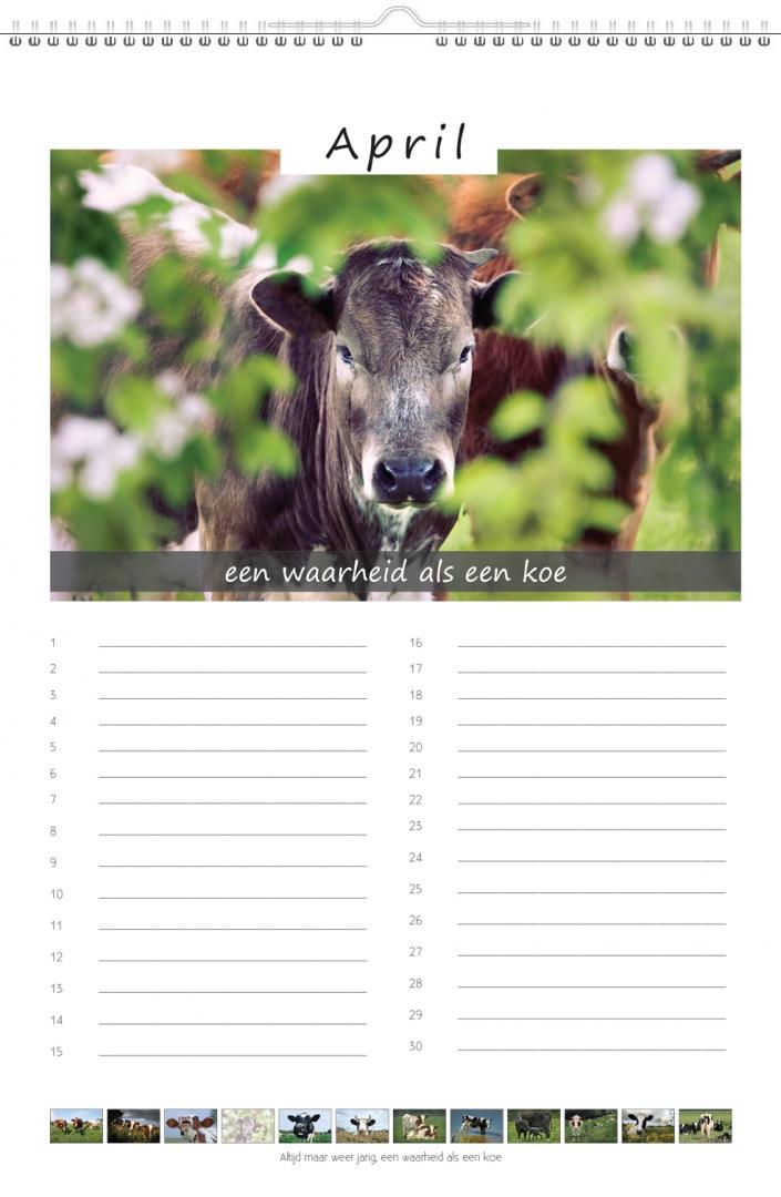 Koeien & Spreuken Verjaardagskalender