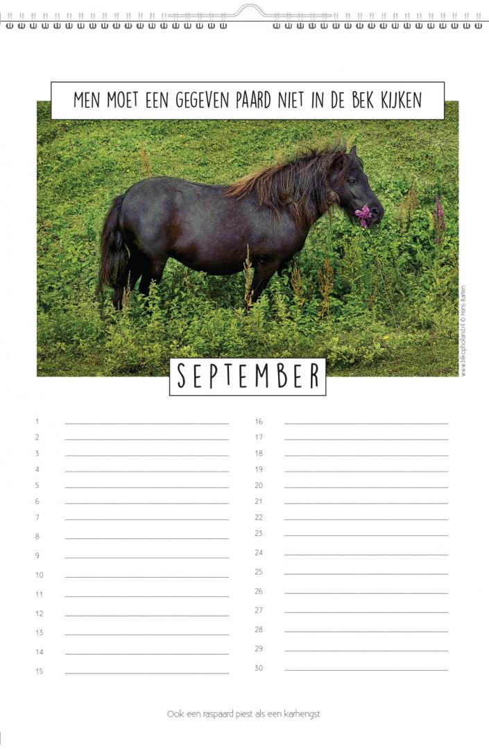 Paarden & Spreuken Verjaardagskalender