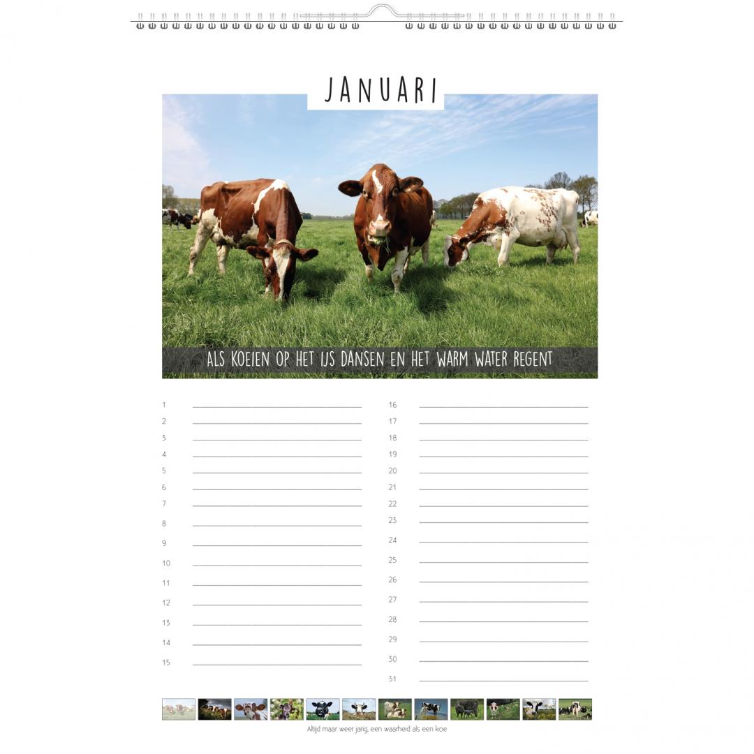 Koeien & Spreuken Verjaardagskalender