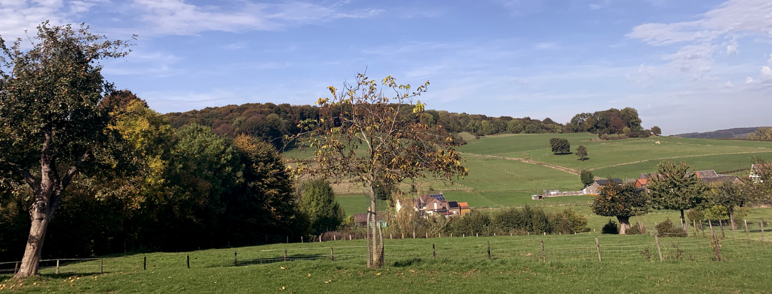 JOVD Limburg steunt de boeren: “Zeg keihard NEE tegen de stikstof hysterie.”