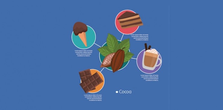 Een Infographic maken