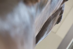 Spanish Teams Selected for 2014 CDIO Aachen