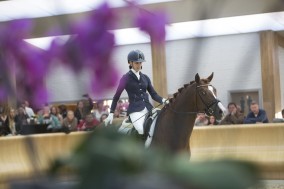 Last selection World Championships Young Dressage Horses