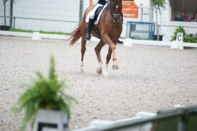 Rath and Totilas Snag Grand Prix Special at 2014 CDIO Aachen