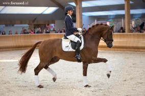 Eye Catcher and Estoril selected for WC Young Dressage Horses