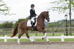 WK Verden: Bronze Medal for Eye Catcher