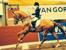 Finale Horsefood Competition