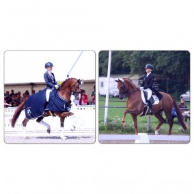 Eye Catcher demonstratie Ermelo en Alain Delon SB bij KWF