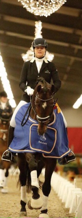 Lotje Schoot wint met San Furst Platinum KUR