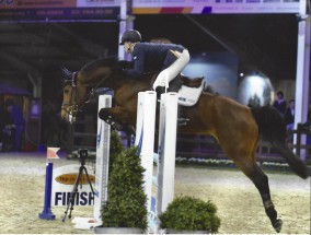 Sheraton Boy D Z springt super in Asten