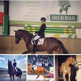 Happy Dancer wint de klasse Z1