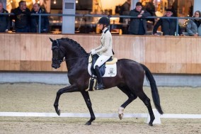 Joyride in hengstencompetitie Ermelo