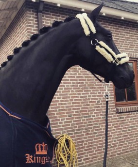 Der Kehdinger wint Utrechtse selecties