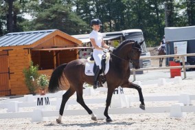 Diamond de Saint Val wint de 6-jarige met 85%
