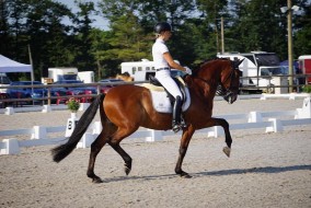 Cesar de Massa wint met Kirsten de 7-jarige test in Cholet (fr)