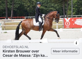 Kirsten over Cesar de Massa: zijn karakter is goud waard
