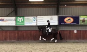 Ook Kreyade NVDW door naar halve finale